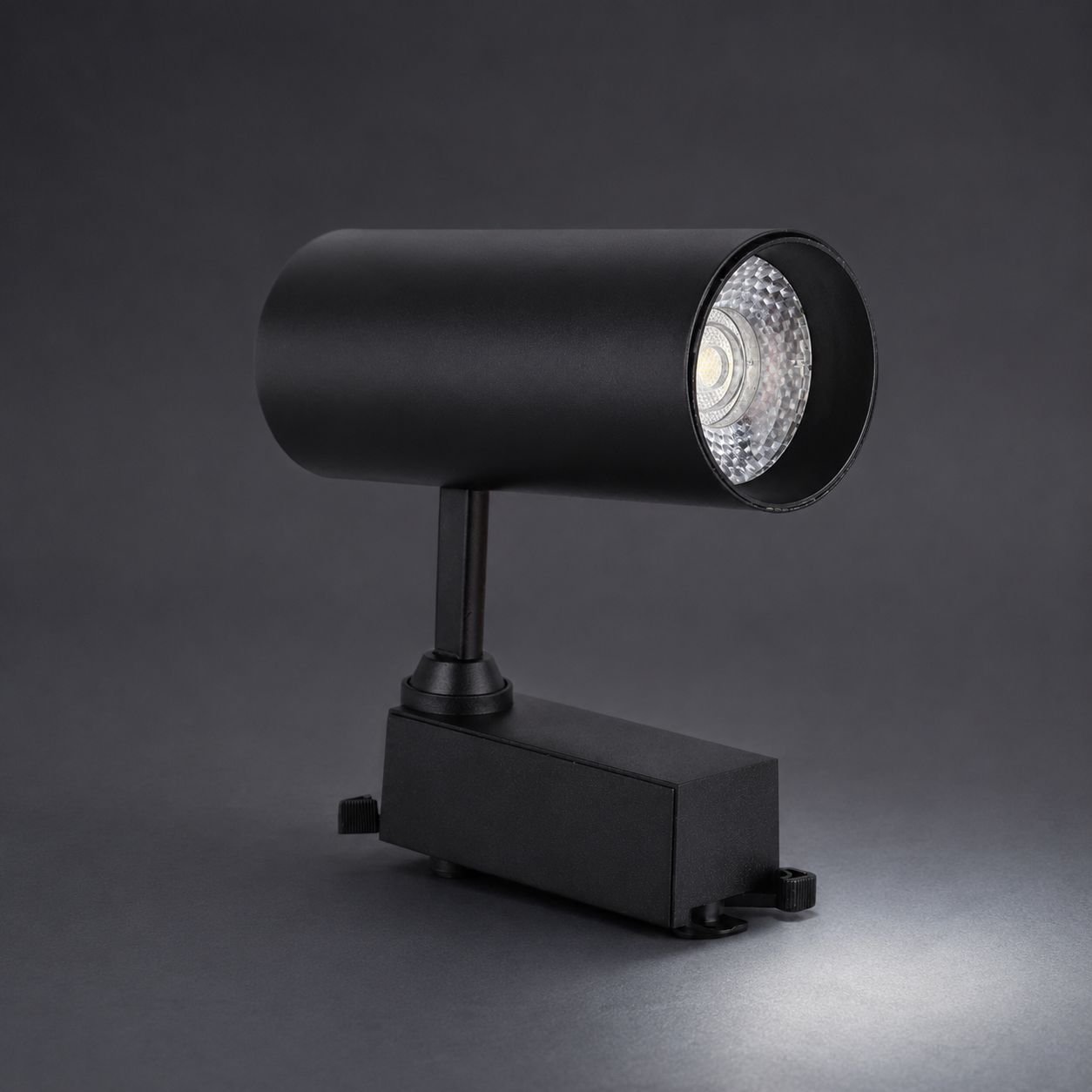 Track Light (Black)