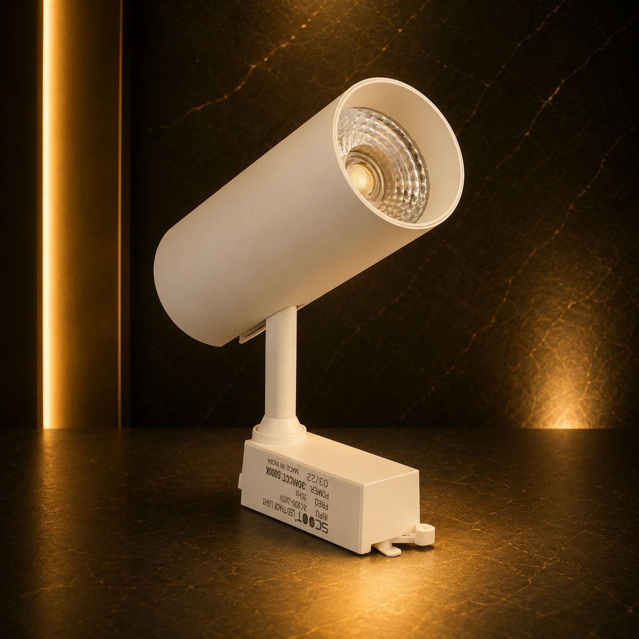 Track Light (White)